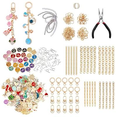 Acidea DIY Keychain Products 319 Pieces, Keychain Charms Accessory Parts Set, Metal Keychain Pendant Making Kit for Gift Accessories and Craft Jewelry