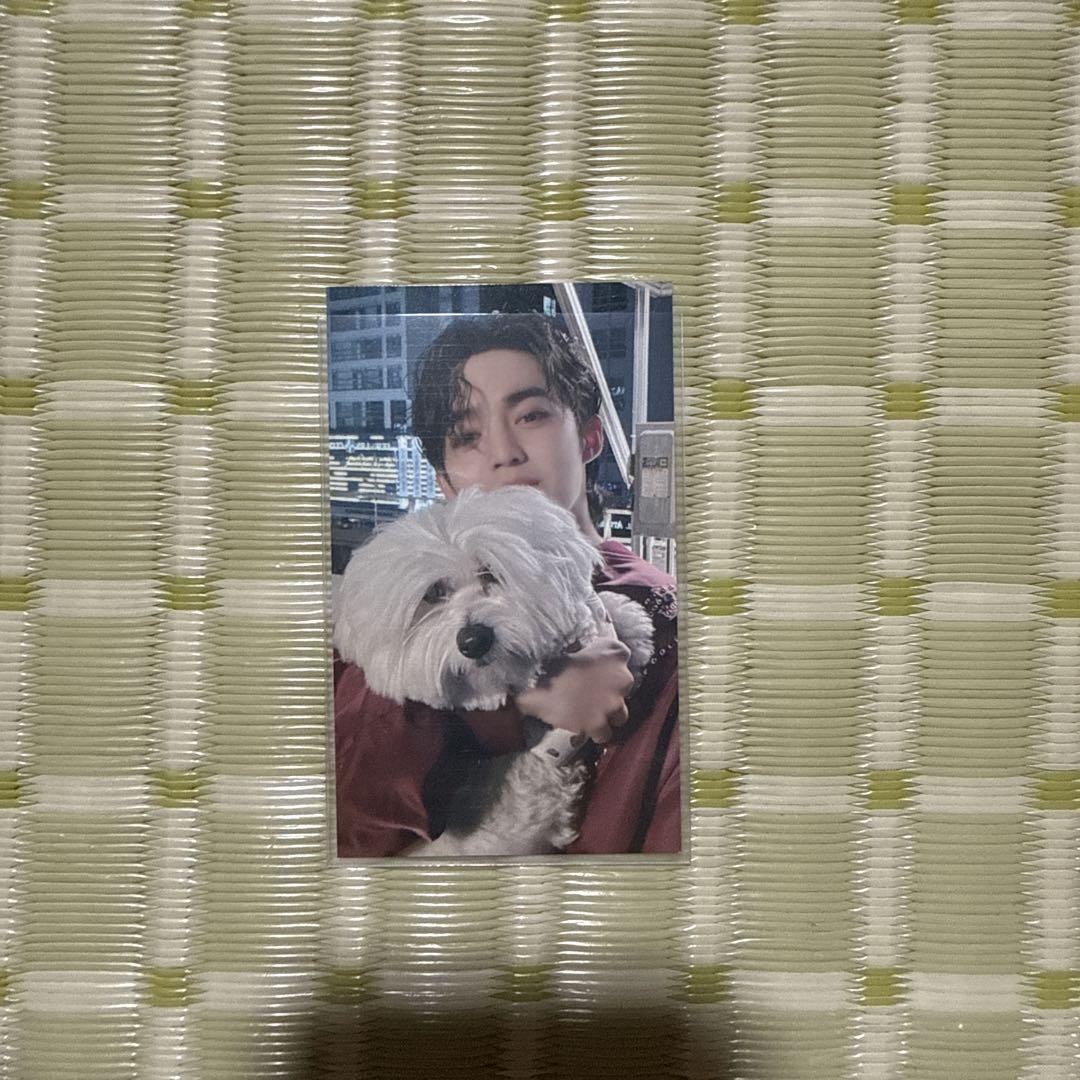 

[USED] FML Tokyo Dome venue limited trading card S.Coups SEVENTEEN Seventeen