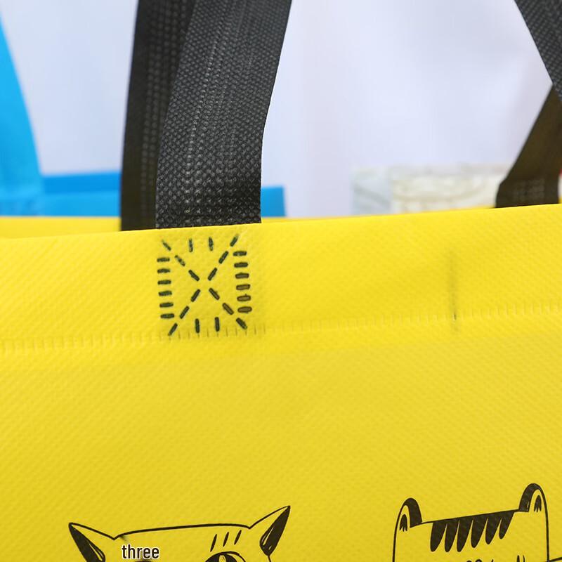 Non-woven Coated Takeaway Bag