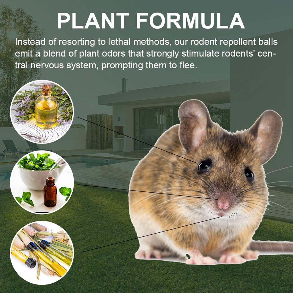 Mouse Ball To Prevent Rats And Rodents, Household And Car Use Plant To Repel And Prevent Rats, Mouse Balls.