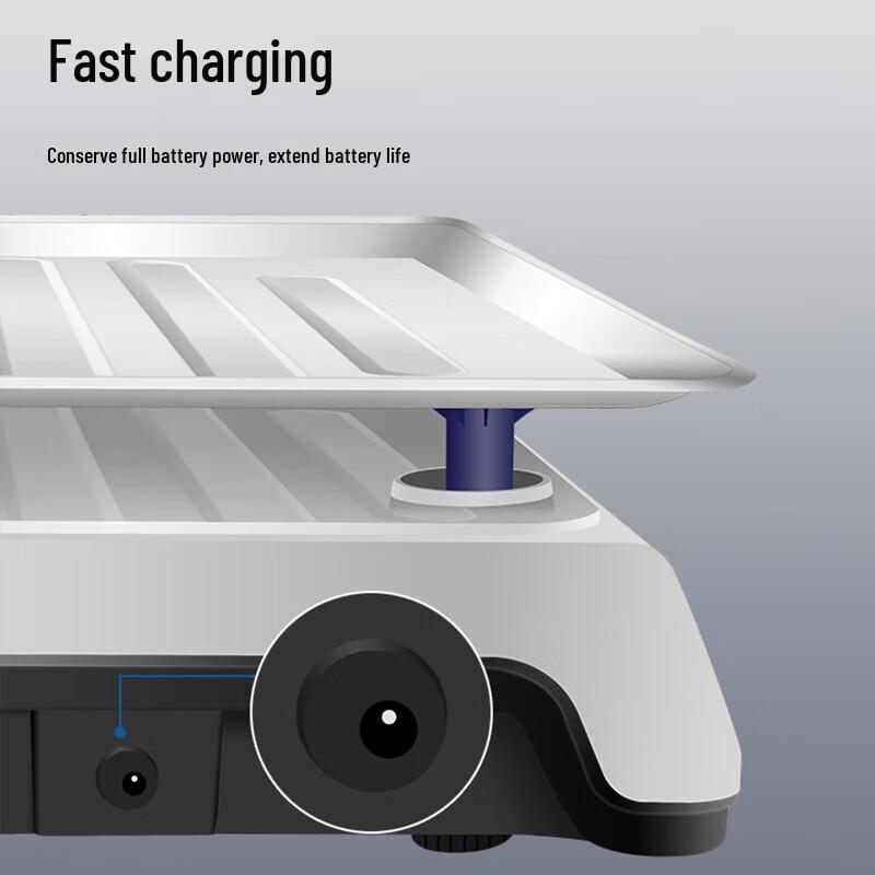 Yingheng High-Precision Digital Pricing Scale