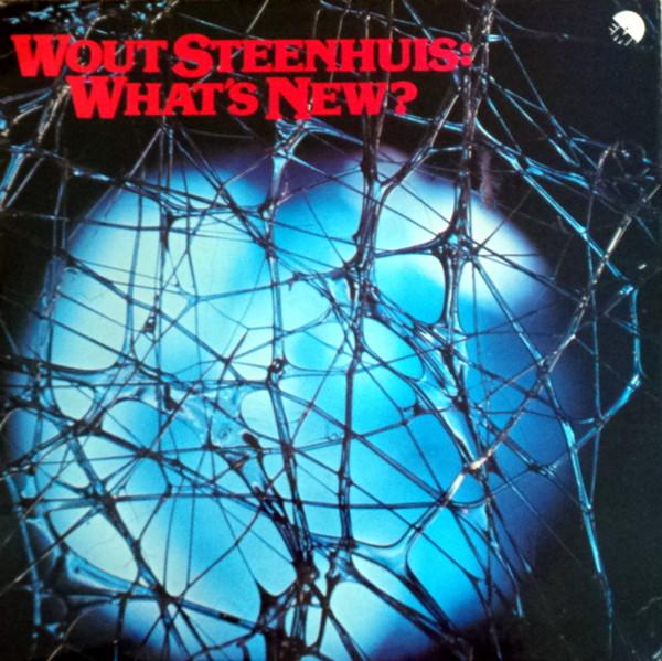 

LP Record WOUT STEENHUIS - What s New EMC3220 EMI 1978 UK Pop Used