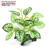 Plastic Driftwood and Bucephalandra Aquarium Decor: Aquatic Turtle Tank Plants & Fish Tank Scenery