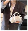 Portable High-end Fashion Pillow Bag Women's 2025 Spring and Summer New Simple Casual Shoulder Bag Niche Design Women's Bag