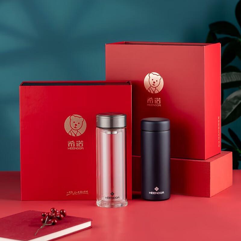 Heenoor Insulated Double-Layer Glass Cup Gift Set with Tea Infuser