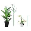 Plant Support Stakes Removable Garden Tree Branch Shape Green Plant Pole for Potted Plants and Flowers