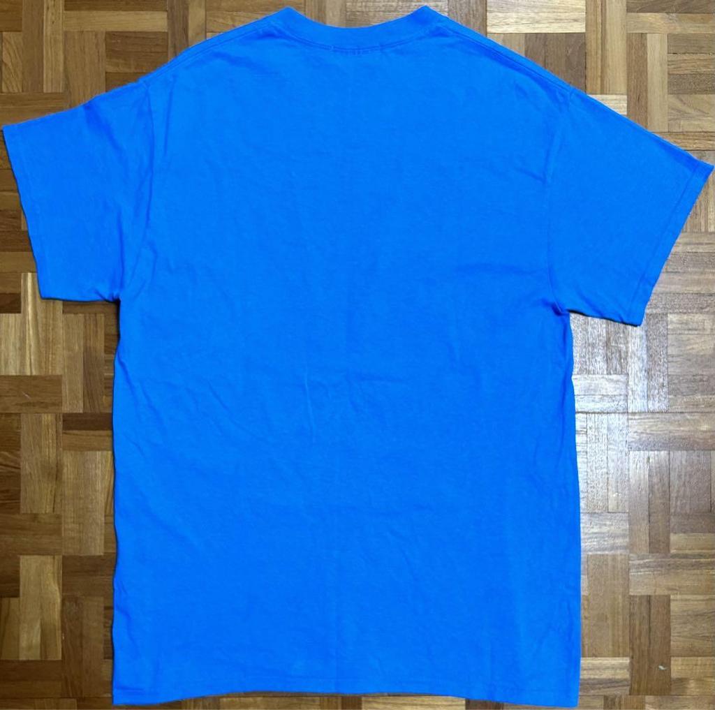 [USED] Video Girl Ai X FLAGSTUFF Collaboration T-shirt