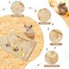 Guinea Pig Foraging Toys 6 In 1 Wooden Hamster Enrichment Interactive Foraging Puzzle Treat Dispenser Game Mental Stimulation Chew Toys for Small