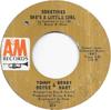7inch Record BOYCE  HART  Sometimes Shes A Little Girl  Lov 874 AM Records 1967 US Rock Used