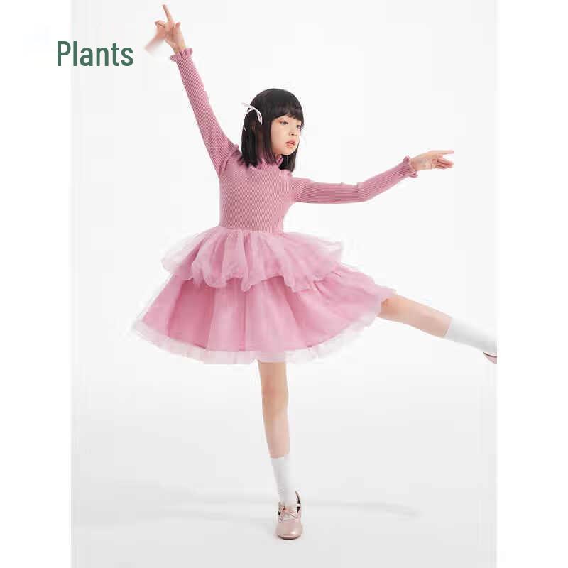 Zhimu Girls  Autumn/Winter Mesh Princess Dress 160