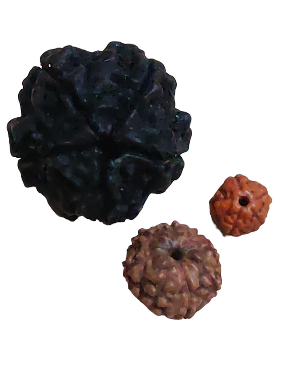 @ Индийская традиционная Рудракша 3 бусины: большая, средняя и маленькая