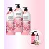 Kerasys Perfume Shampoo 3 Types 980ml Pick 1 + Treatment 1l Free Rubcent Discovery Kit