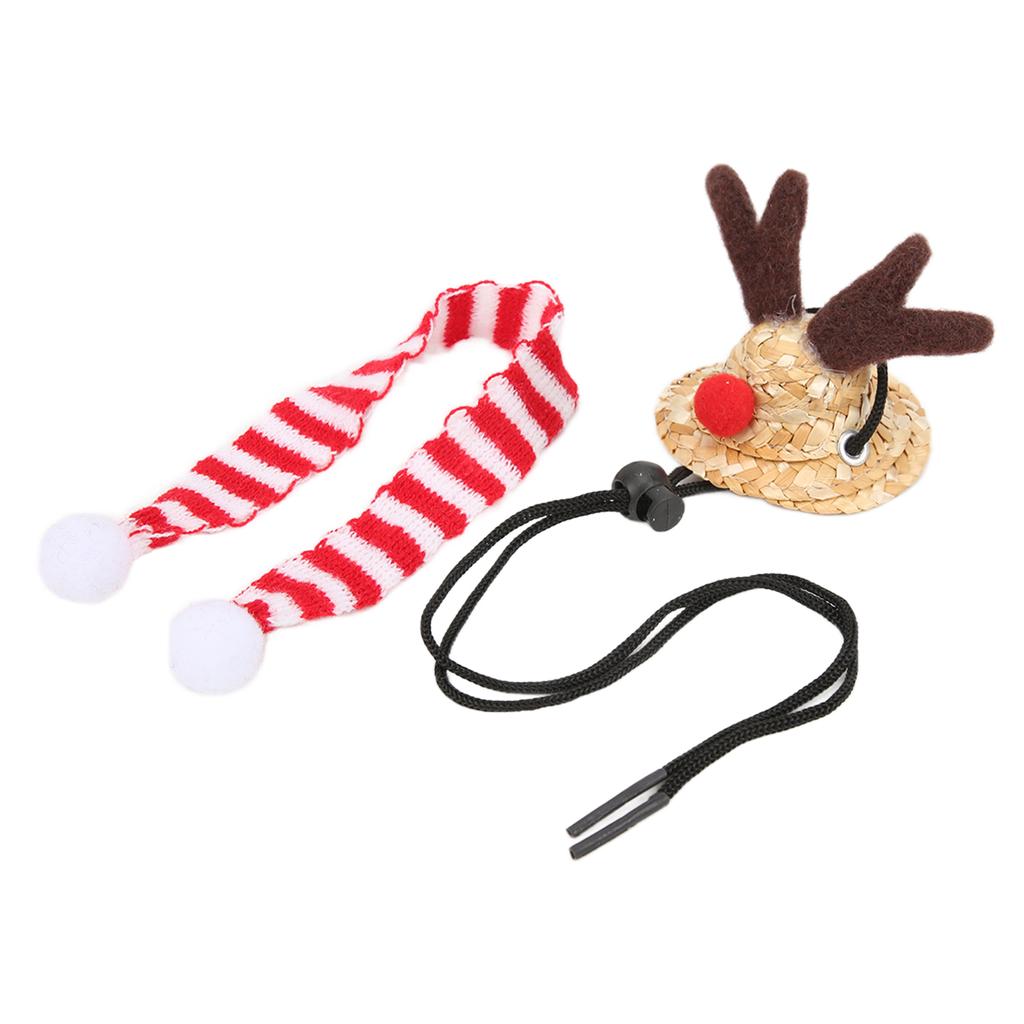 Skäggagam Jultomtehatt Halsduk Reptil Justerbar Halm Älg Hatt och Halsduk Julkostym för Högtidsfest Foton