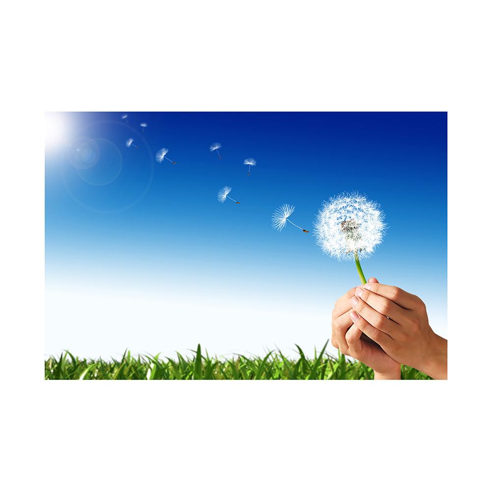 Romantic Dandelion Background Tapestry for Events,Party Banner,Home Decor,Weddings,Photo Booths