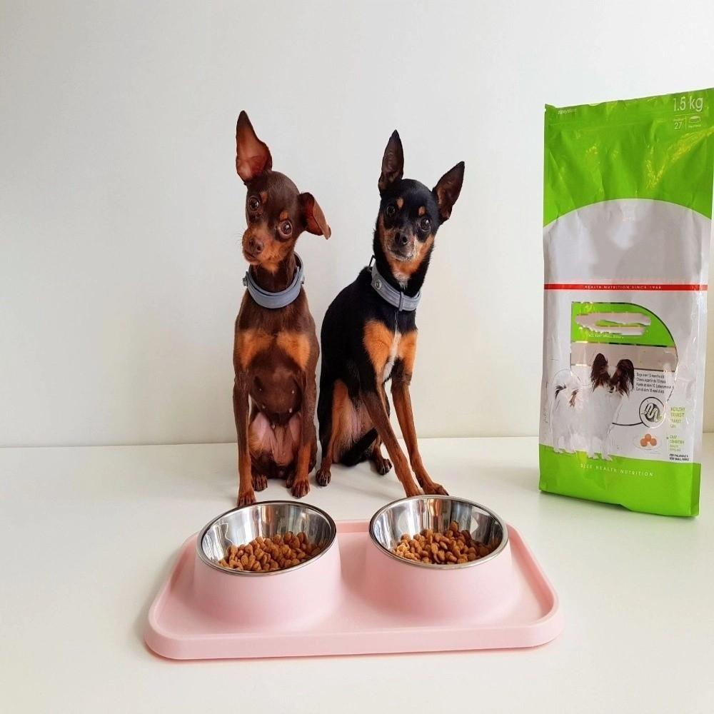 Non-Slip Mat Pet Bowls Stainless Steel Pet Feeder Basin Dog Cat Food Bowl  for Kitten Puppy