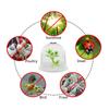 6Pcs Garden Plant Cloche Plant Dome Bell Cover Reusable Plastic Mini Greenhouse for Warming Garden Soil Plant Protect