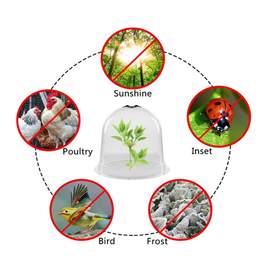 6Pcs Garden Plant Cloche Plant Dome Bell Cover Reusable Plastic Mini Greenhouse for Warming Garden Soil Plant Protect