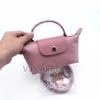 Mini Bags for Women Luxury Handbags Designer Women Messegner Crossbody Shoulder Bag Female Casual Tote Top-handle Bag 1393-2