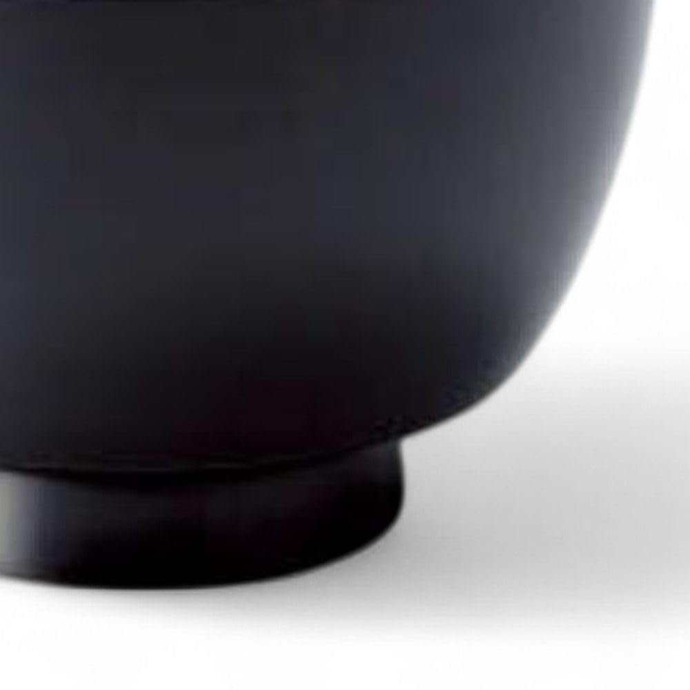 Lacquerware Dishwasher Made in Japan J-kitchens Bowl, Hand-Painted, Safe, PID-528138,