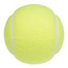 SAKURAI CALFLEX Tennis Hard Ball Non-Pressure 2 Balls LB-450 Yellow
