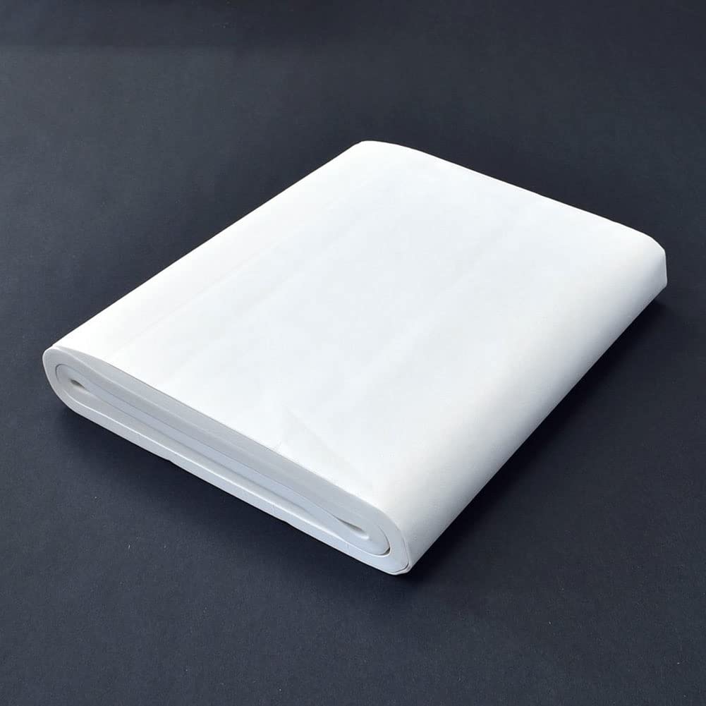 Horindo Gasen Paper Tateyama Paper 100 pieces Half-cut