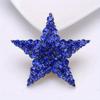 Fashion Star Luxury Crystasl Brooch Pin Badges Rhinestone Elegant Women Men Trendy Corsage Jewelry Bcukle Coat Pins