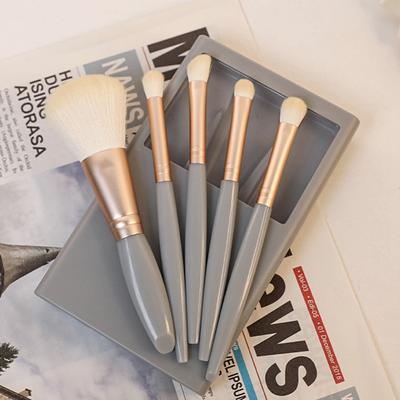 5 pennelli per trucco con ombretto a specchio, pennelli per cipria in polvere, mini pennelli per trucco multifunzionali