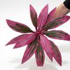 1Pcs Desktop Design 55Cm Large Artificial Dragon Blood Tree Faux Brazilian Wood Plant Decor For Living Room With Life-Like Green