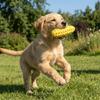 Flexible Dog Chew Toy Bite Resistant Dog Teething Stick Funny Dog Toothbrush Stick  Home Play