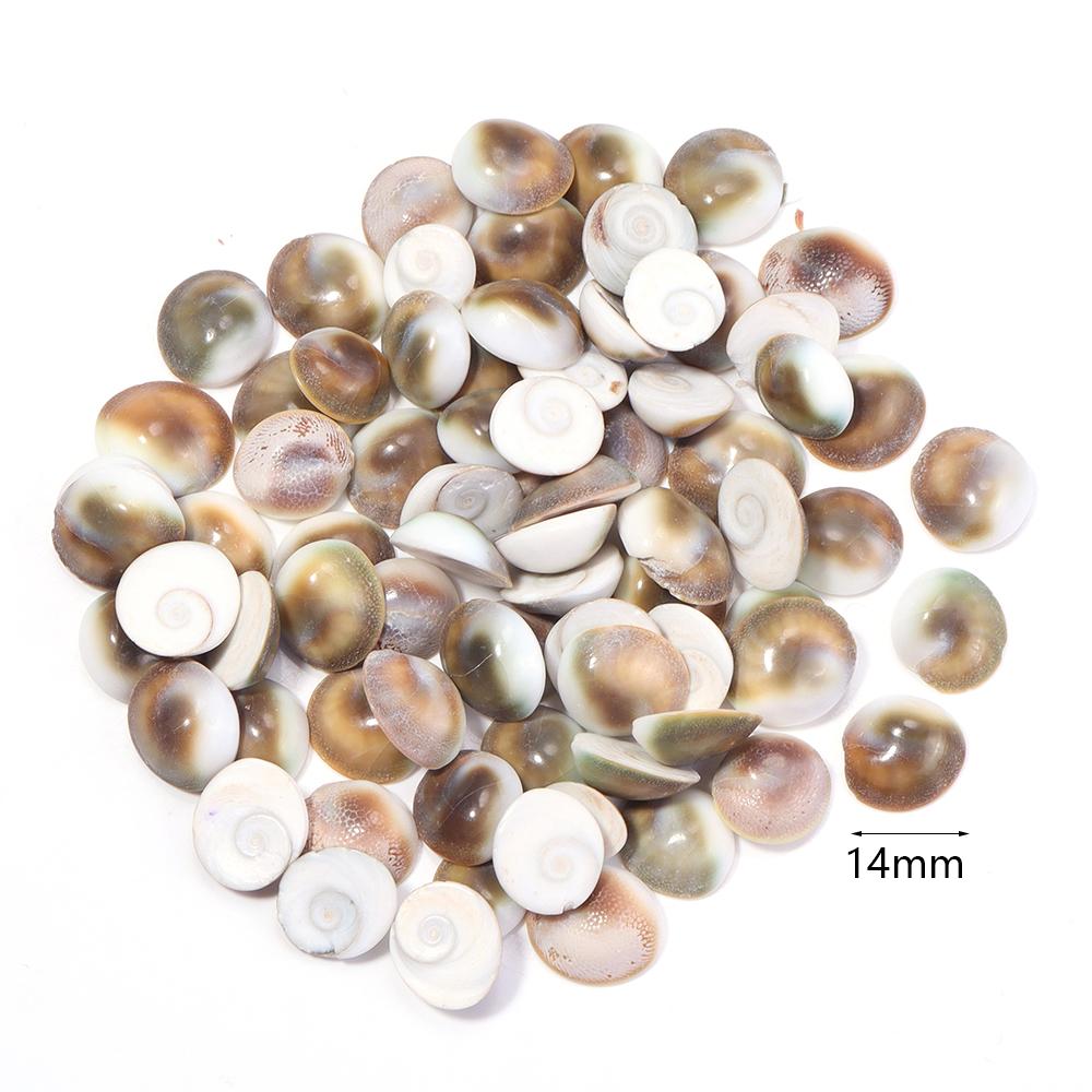 40g/bag Sea Shell Beads Tiny Conch Beads Undrilled Natural Shell Beads For Jewelry Making DIY Crafts Ornament Home Decoration