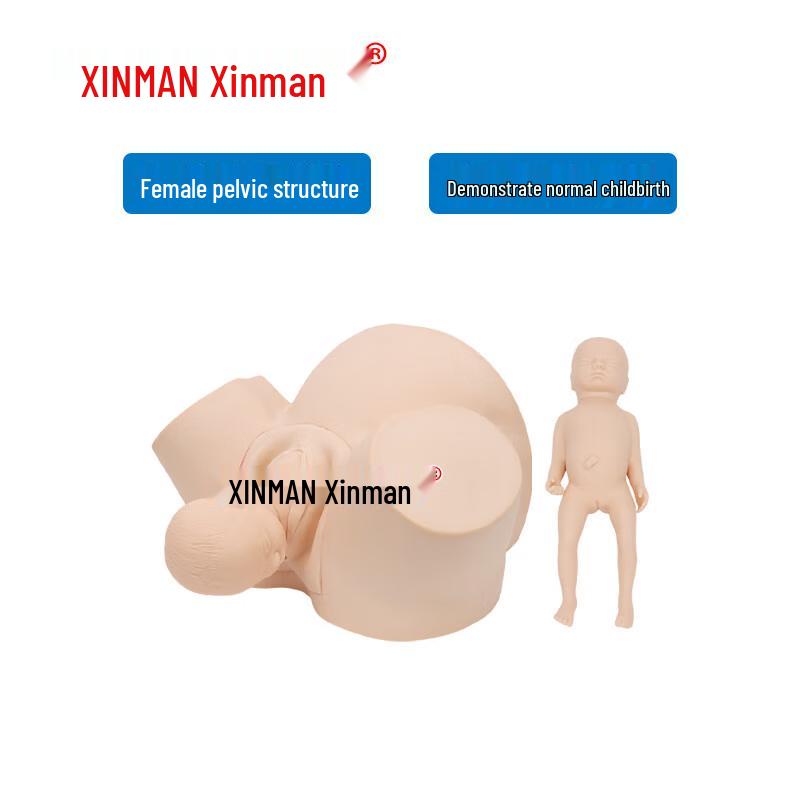 XINMAN Advanced Midwifery & Fetal Delivery Training Model