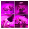 Full Spectrum 150LED 100W E27 Plant Grow Light Lamp for Greenhouse Plants Flower Growth 85 265V