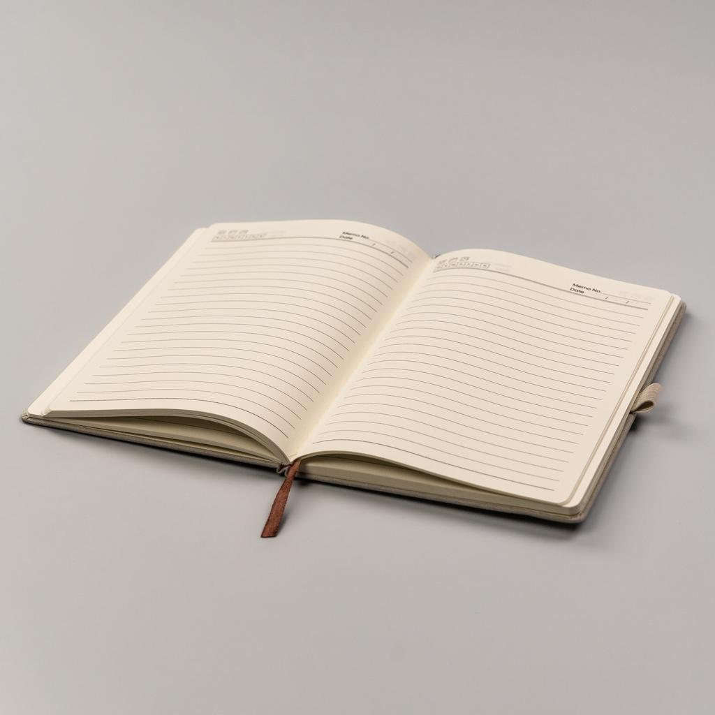 Notebook PTN NOT-6-6287 Beige