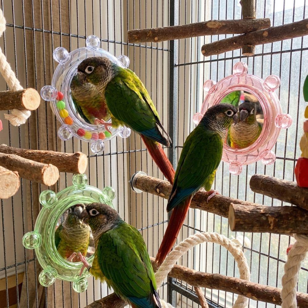 Spinning Puzzle Parrot Mirror Toy Wear-Resisting Parrot Spinning Wheels  Small Parrot
