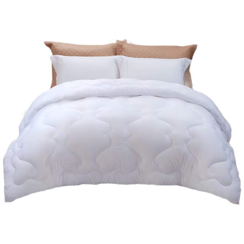 

Fuanna Yi Xiang Warm Core Winter Quilt