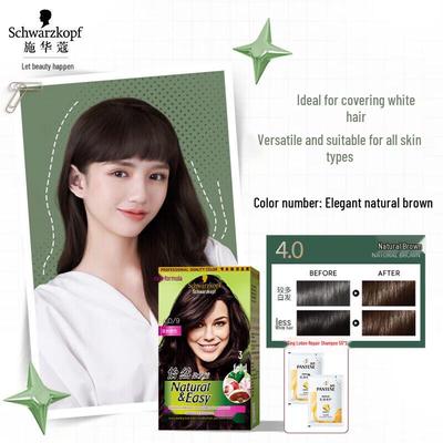 Natural & Easy Permanent Hair Dye Cream