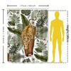 Animal Print Shower Curtain Jungle Tiger Design For Bathroom Decor 180X245Cm Polyester Fabric Waterproof Shower Panel Curtain Wi