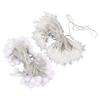 String Lights Warm Ambient Lights LED Fairy String Lights Decoration for Outdoor Camping Tent Canopy