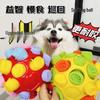 Enhanced Bite-Resistant Pet Snuffle Ball Puzzle Toy