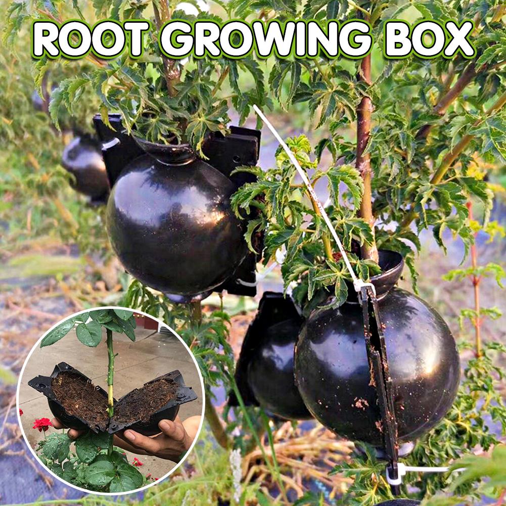 5 Pack Plant Rooting Growing Box Tool Grafting Ball Device 5/8cm In Diameter EB 5 Pack Plant Rooting Growing Box Tool Grafting Ball Device 5/8cm In Diameter EB
