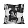 Zhang Linghe Pillow Case  Soft Pillow Cover For Living Room Sofa Retro Trendy Cushion Cover