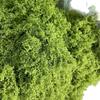Moss Landscaping Woolen Turf: Artificial Green Plants & Bionic Lawn Stones for Decoration