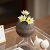 Vintage grobkeramische kleine Vase, japanischer Stil Wohnzimmer Esstisch, hydroponisches Blumenset, Heimdekorationsornament