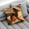M-Megan Fox Cool Throw Pillow Case For 45x45cm 40x40cm 30x30cm 50x50cm 55x55cm Square Home Pillowcase Case