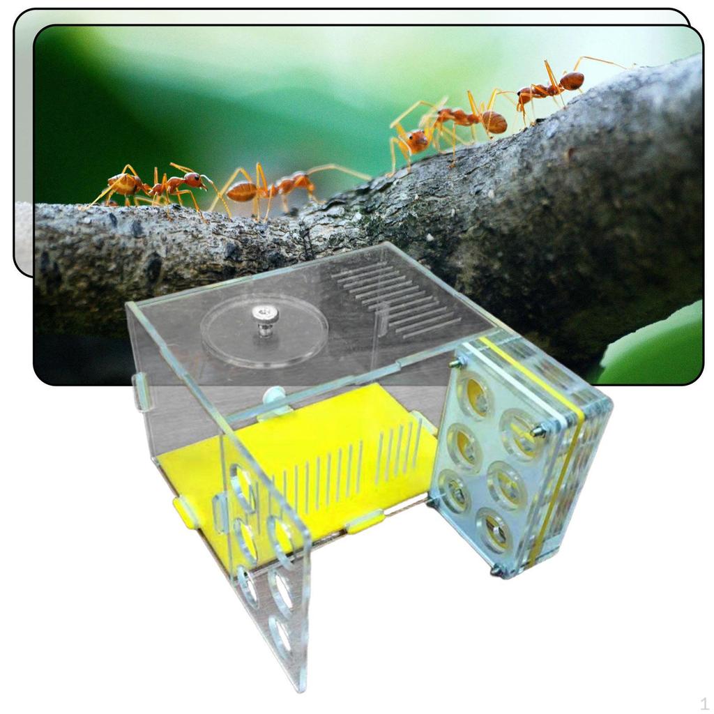 ANT Cage Acryl Farm Villa für Schlafzimmer Wissenschaftliche Beobachtung Kindertag