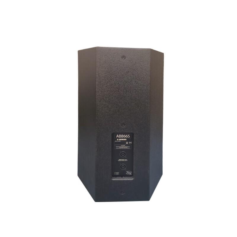AnsiBai AB8665 Passive Conference Speaker