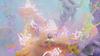 Dreams Universe [PS4]
