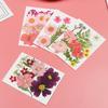Real Natural Dried Flowers Pressed Flowers Resin Mold Fillings Flower for DIY Candle Resin Crafts Jewelry Nail Art Beauty Decal