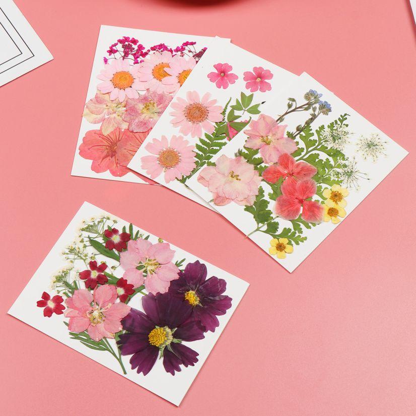 Real Natural Dried Flowers Pressed Flowers Resin Mold Fillings Flower for DIY Candle Resin Crafts Jewelry Nail Art Beauty Decal