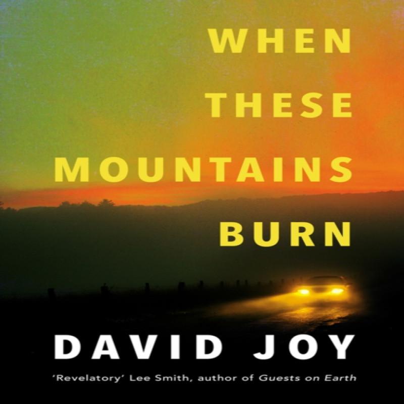 When These Mountains Burn by David Joy Paperback Book 9780233006505